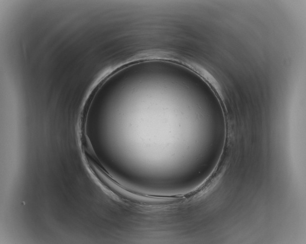 X0000111170997200907011346