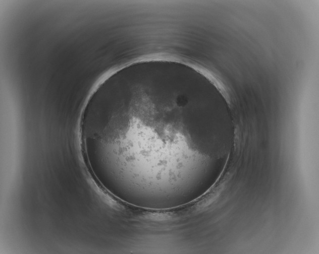 X0000111170998200907011346