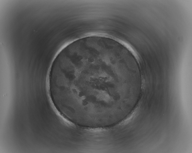 X0000111170999200907011346