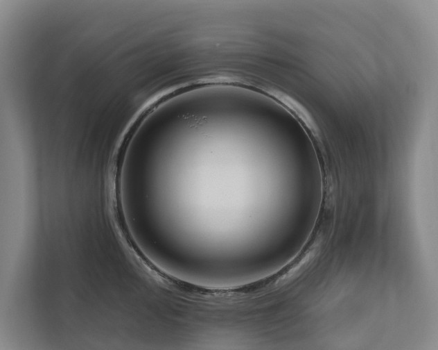 X0000111171000200907011346