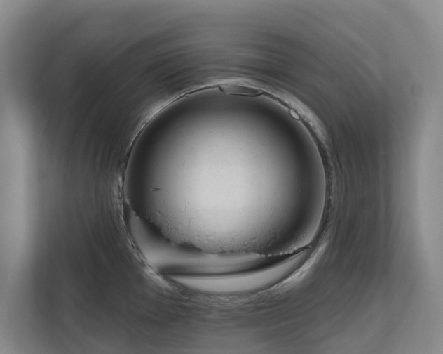 X0000111171001200907011346