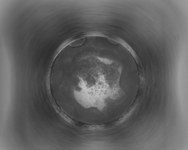 X0000111171002200907011346