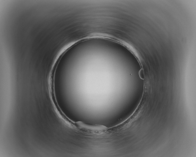 X0000111171003200907011346