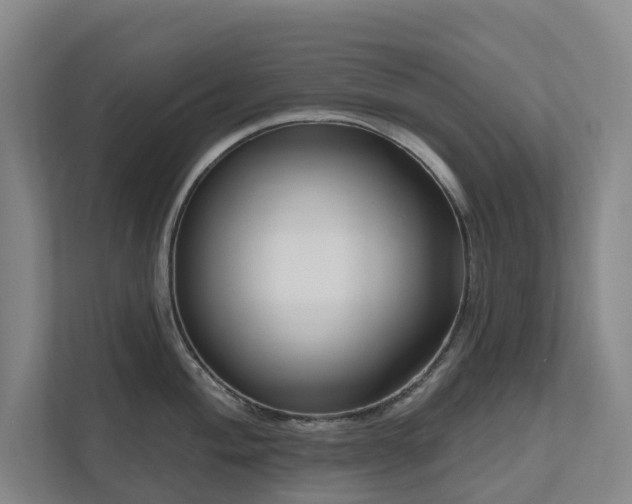 X0000111171004200907011346