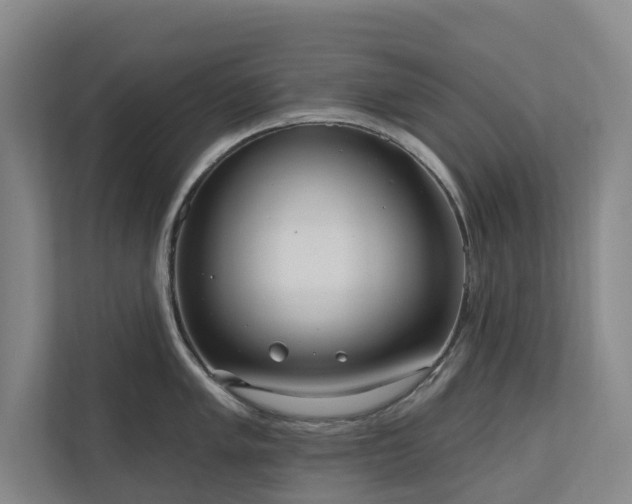 X0000111171005200907011346