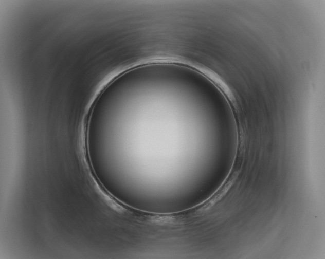 X0000111171006200907011346