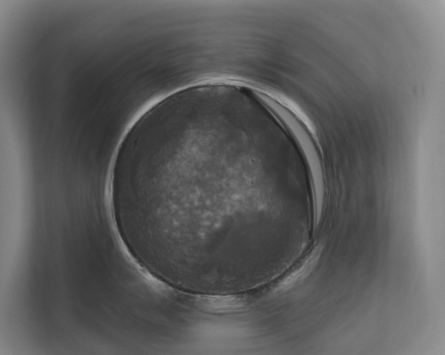 X0000111171007200907011346