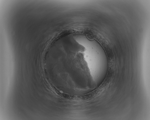 X0000111171009200907011345