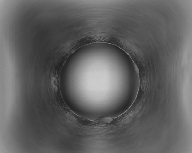 X0000111171010200907011345