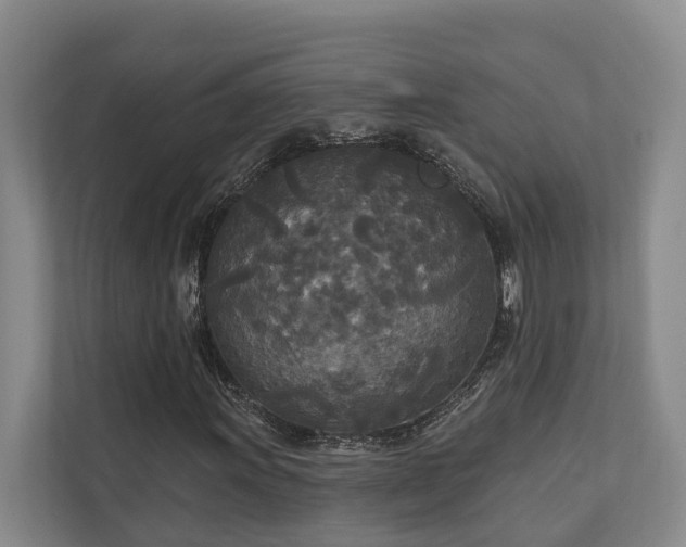 X0000111171011200907011345