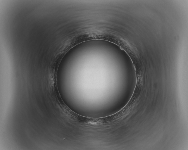 X0000111171012200907011345