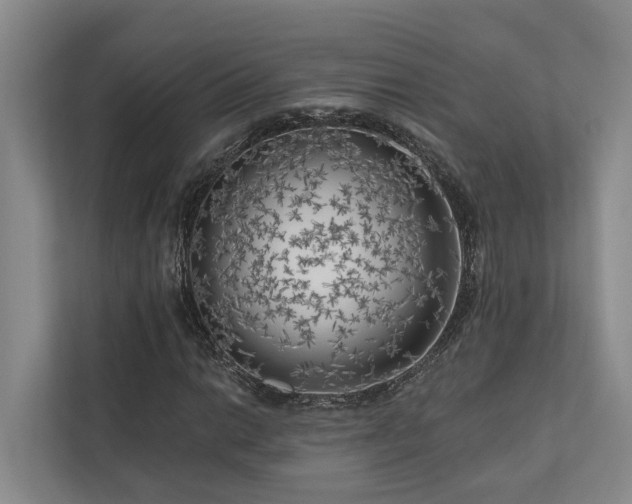 X0000111171014200907011345