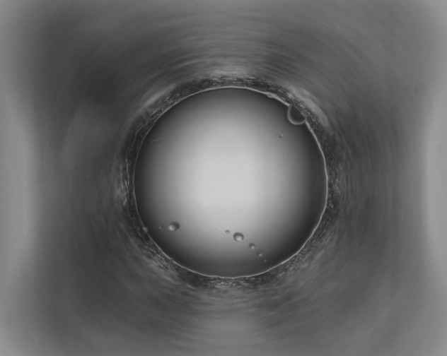 X0000111171015200907011345