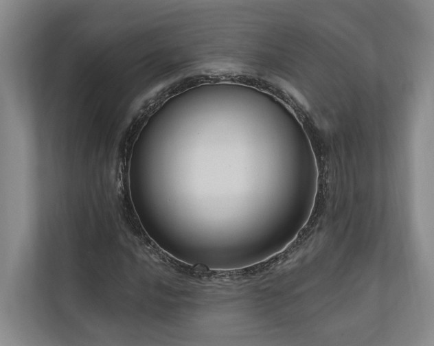 X0000111171016200907011345