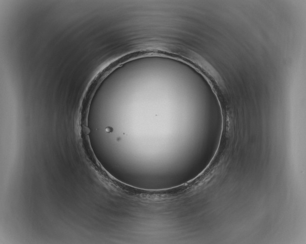 X0000111171020200907011345