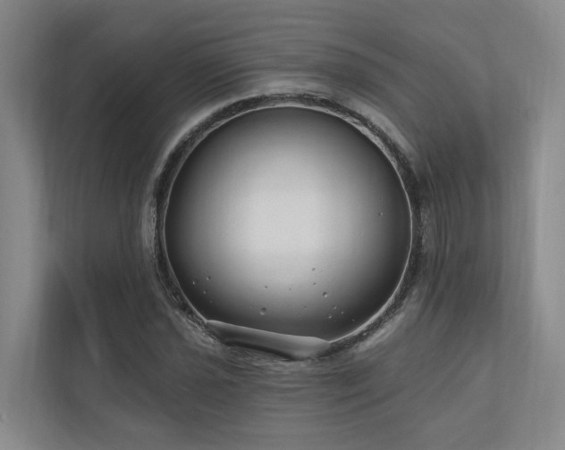 X0000111171021200907011345