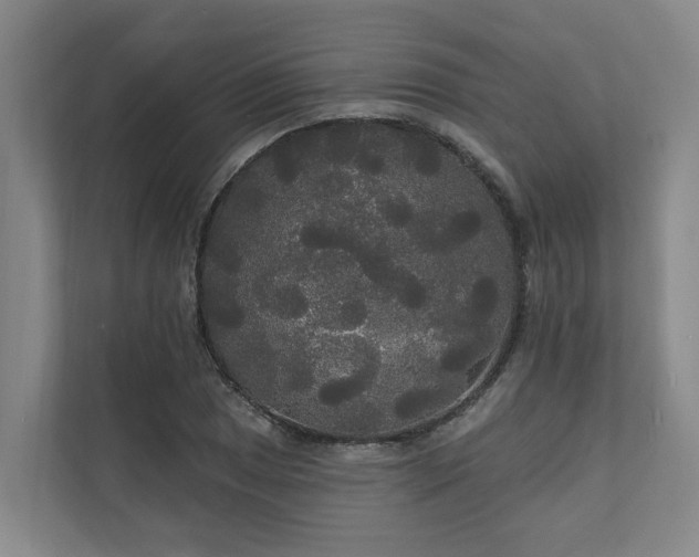 X0000111171025200907011345