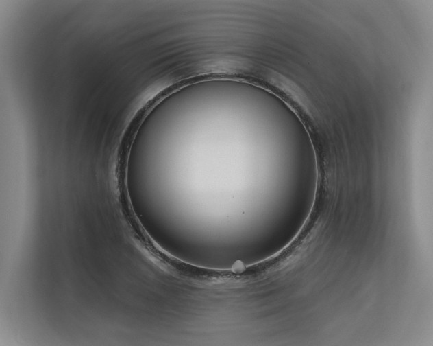 X0000111171026200907011345