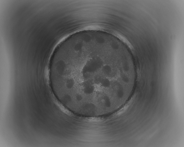 X0000111171029200907011345