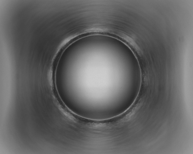 X0000111171030200907011345