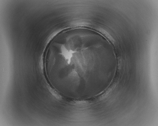 X0000111171031200907011345