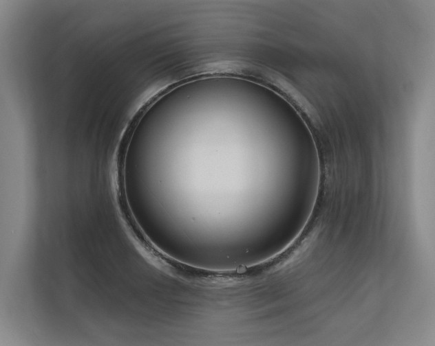 X0000111171034200907011345