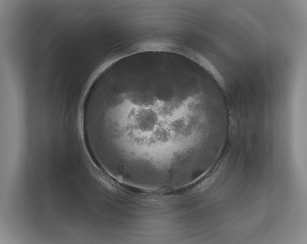 X0000111171035200907011345