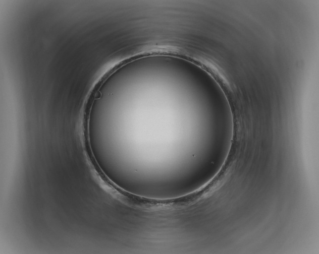 X0000111171038200907011345