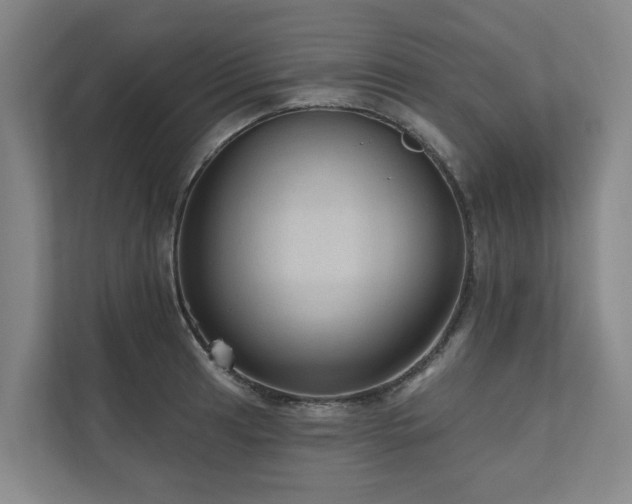 X0000111171041200907011345