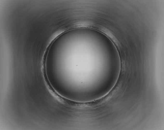 X0000111171042200907011345