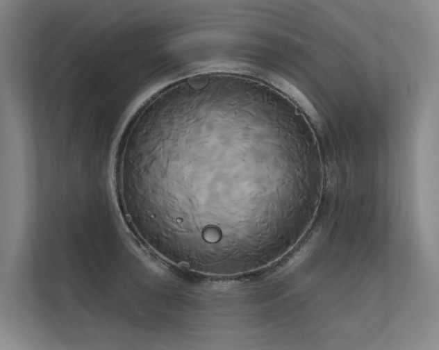 X0000111171043200907011345