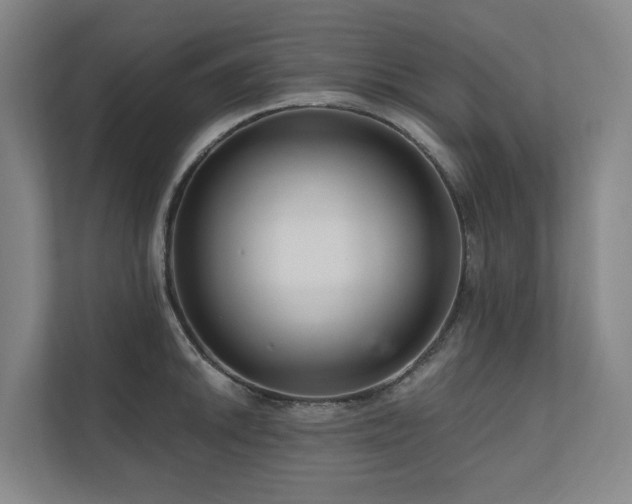 X0000111171046200907011345