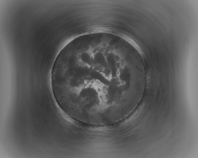 X0000111171047200907011345