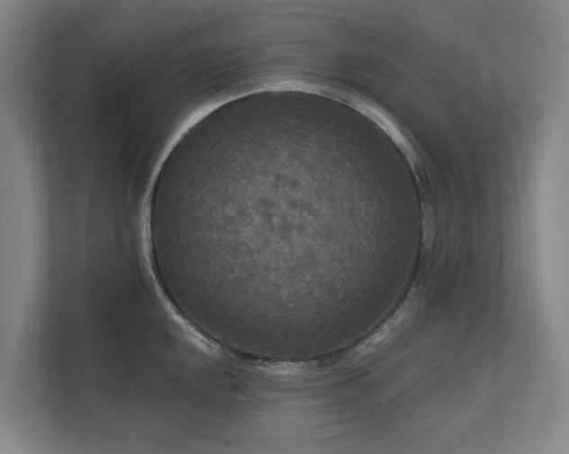 X0000111171048200907011345