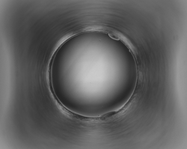 X0000111171050200907011345