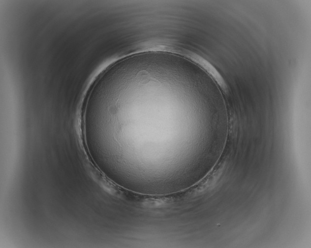 X0000111171051200907011345