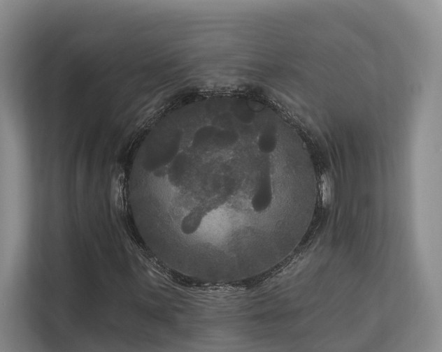 X0000111171059200907011345