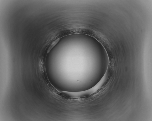 X0000111171060200907011345