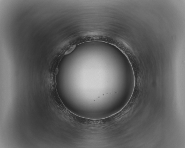 X0000111171062200907011345