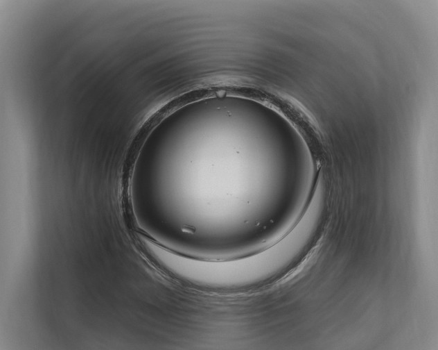 X0000111171065200907011345