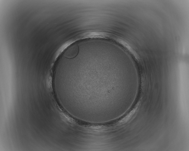 X0000111171066200907011345