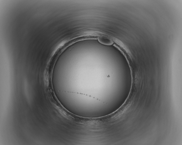 X0000111171067200907011345