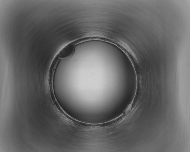 X0000111171068200907011345