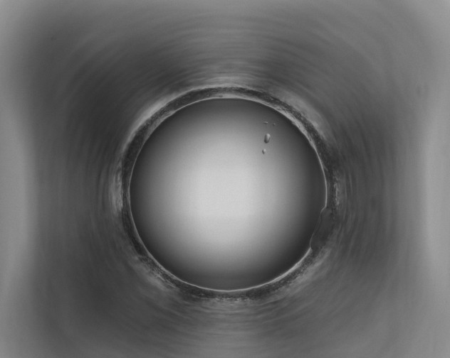 X0000111171069200907011345