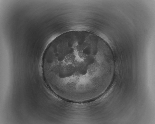 X0000111171071200907011345