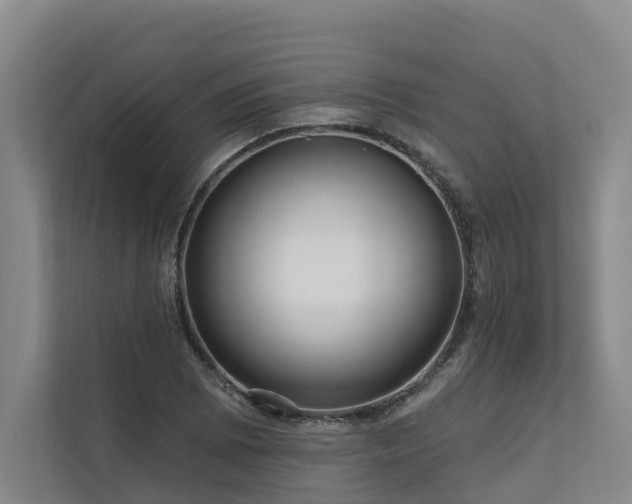 X0000111171073200907011345