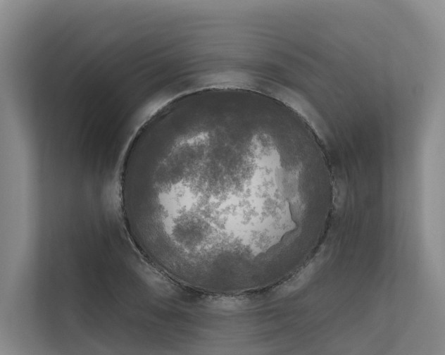 X0000111171074200907011345