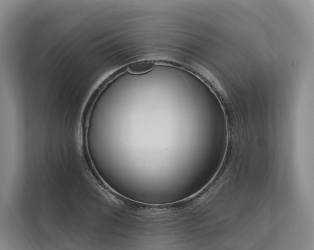 X0000111171076200907011345