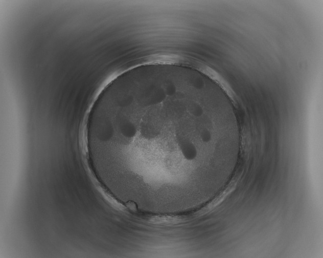 X0000111171083200907011345