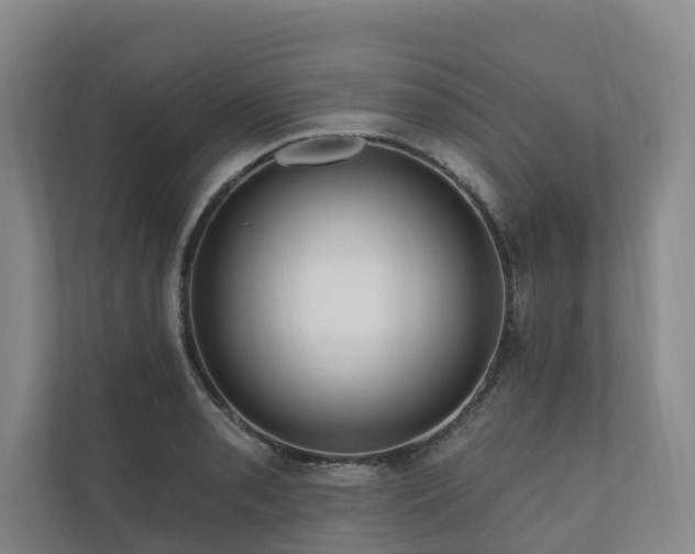 X0000111171085200907011345